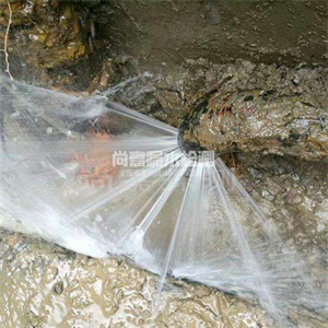 渔洋镇消防管道漏水检测